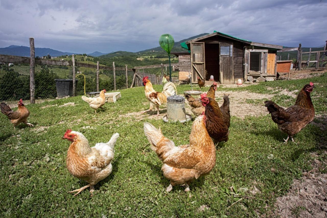 Societa Agricola Cacigolara Villa บอร์โก วาล ดิ ตาโร ภายนอก รูปภาพ